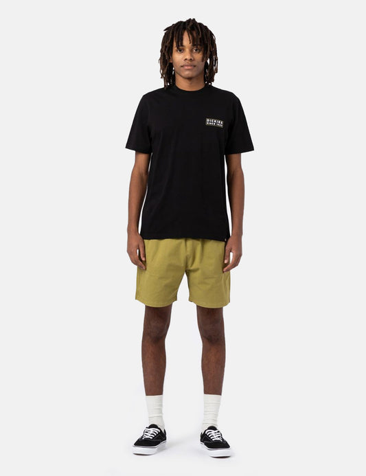 Pelican Rapids Shorts - Green Moss